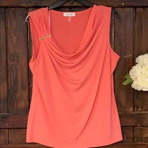 A beautiful salmon shell